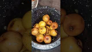 INDIAN PLUM CHUTNEY at HOME ll BOROI CHUTNEY II #shorts #chutney