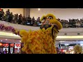 cny 2020 ~ acrobatic lion dance 双狮高桩表演 múa lân by kim ying 金英 @ 1 utama 11 jan 2020 4k