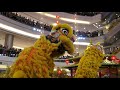 cny 2020 ~ acrobatic lion dance 双狮高桩表演 múa lân by kim ying 金英 @ 1 utama 11 jan 2020 4k