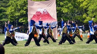 あっぱれ富士2018「楓穴会」芝生会場