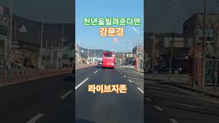 천년을빌려준다면 강문경라이브지존드라이브💖💙💛💛❤️❤️💚💜🩷🎶🎵🛻