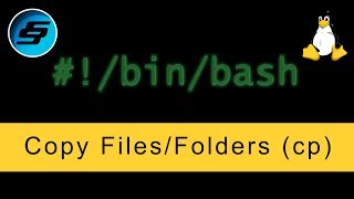 Copy Files/Folders (cp) - Bash Scripting