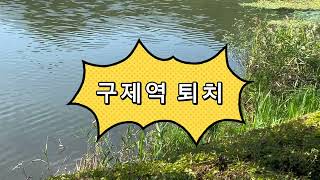 EM이란 무었인가....Em활성액 만드는 방법 #EM원액 #활성액만드는방법 #자연비누하우스 #Em천연비누 #Em샴푸만들기