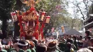 平成25年 幕末維新祭り 松陰神社☆宮出祭☆宮神輿渡御 。