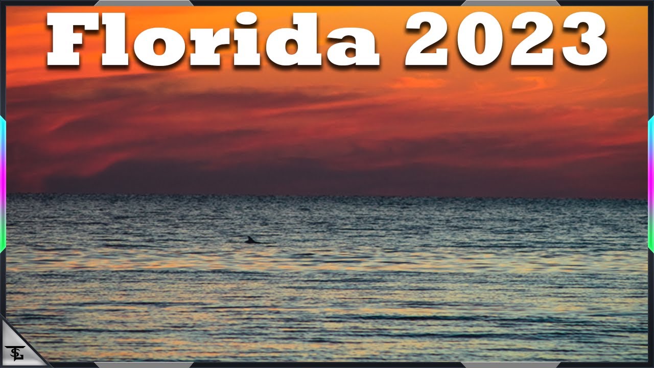 Florida Fishing 2023 - YouTube