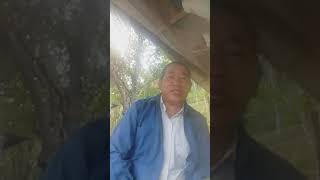 Esam Waji Limbu Organic Palaam 2020