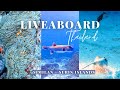 Similan Islands, Thailand - An EPIC Diving Liveaboard