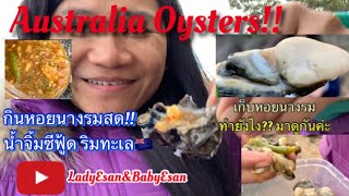 เก็บหอยนางรม กินสดๆ!!ริมทะเล พร้อมน้ำจิ้มซีฟู้ดรสเด็ด! Pick Australia Oysters! 🦪🦪