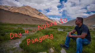 Nubra valley to Pangong..day 4 in Ladakh