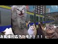 新鉄道路線開業初日のとある電車の乗務員　 猫ミーム 猫マニ