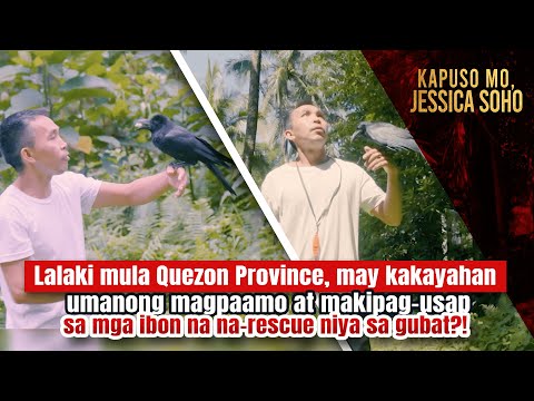 Pinoy bird whisperer, may kakayahang magpaamo at makipag-usap sa mga ibon? Kapuso Mo, Jessica Soho