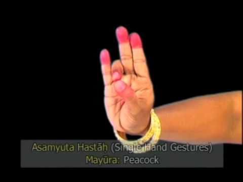 Learn Asamyuta Hasta Mudras - Bharatanatyam - Laya Bhava Dance Academy ...