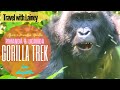 Mountain Gorilla Trek in Rwanda and Uganda Africa Safari - In Depth Bucket List Wildlife Adventure