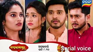 Badabohu l Episodic promo -142 l 11 January 2025 l tarang tv l tarang puls