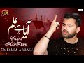 Aaya Hai Alam | Mesum Abbas | Nohay | Moharram | TP Muharram