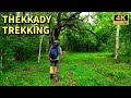 400 രൂപക്ക് കിടിലൻ ട്രെക്കിങ്ങ് | Nature Walk | Budget Trekking in Periyar Tiger Reserve | 4K UHD