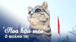 Xuất hiện 'hoa hậu mèo' ở Quảng Trị, lọt top tượng linh vật đẹp nhất Tết này?