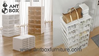 Antbox shoe storage wall unit