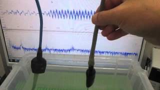 超音波プローブ実験　Ultrasonic probe experiment