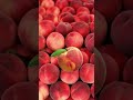 Nice 👌 magical peach 🍑 # viral magical fruit #Short video