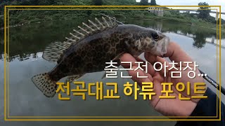 쏘가리 낚시 한탄강 전곡대교 포인트 (korea sports fishing)