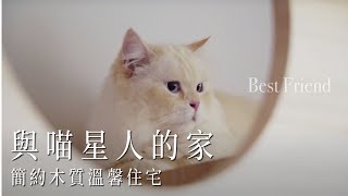 與喵星人的家，簡約木質溫馨住宅｜清新宅｜Take a C｜動態錄影｜# house