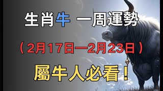 生肖牛一周運勢（2月17日—2月23日），屬牛人必看！#生肖 #运势 #財運 #财富 #2025年運程 #命运 #運勢 #黴運