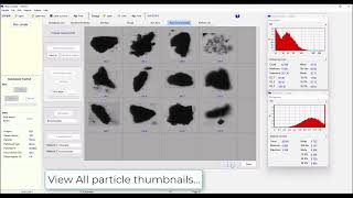Petroleum Lost Circulation Material (LCM). Particle Size and Shape Analysis - CCM Type #1