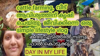 Day in my life/ പശു കറവ/nangalude simple നടൻ lifestyle/mixed farming ആട് കോഴി, പശു /ചേന krishi