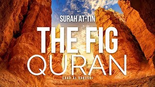 Surah At-Tin |  سُوۡرَةُ التِّین تلاوة مكررة | Saad Al Qureshi