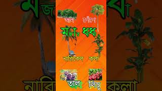 মজার একটি ধাঁধা পারলে বলুন তো। #MCQ #trees #funny#reels #shot#youtube