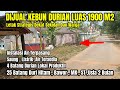 Dijual Kebun durian Lokal Dan Premium Luas 1900,Saung Listrik air Tersedia, Letak Strategis