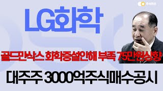 [LG화학 주가전망] '속보' 대주주 3000억매수 2020년 코로나19가격 극단적저평가 골드만삭스 목표가 75만원상향