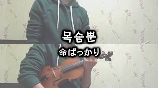 [Project Violin] ぬゆり - 목숨뿐(命ばっかり Just Life) violin cover