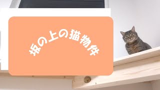 【12坪の平屋生活】入居2日目にして後悔・・・狭小住宅を建てる時はあらゆる計測を慎重かつ丁寧に！