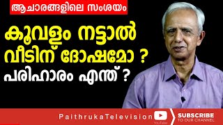 വീടും നമ്മുടെ ശരീരവും ഒരുപോലെ വൃത്തിയാക്കാൻ ഈ ഔഷധി ചെടികൾ മതി|draravindhakshan|helthtips