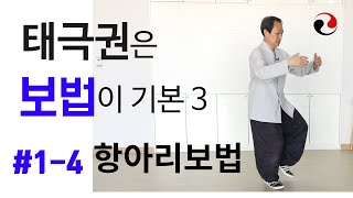 간화24식 태극권 항아리보법