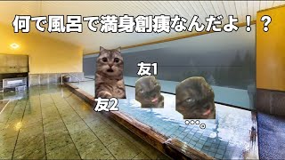 雪国の露天風呂が中々アドベンチャーだった話　#猫ミーム #猫マニ #温泉