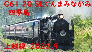 四季島 C61ぐんまみなかみ 2023.9.18