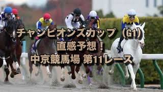 チャンピオンズカップ（G1）  直感予想！  中京競馬場  第11レース