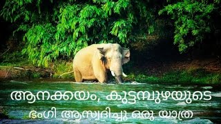 മനോഹരമായ കുട്ടമ്പുഴയുടെ കാഴ്ചകൾ | Anakkayam, Kuttampuzha Thattekad Wildlife