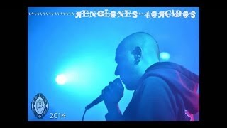 Dekoh - Renglones torcidos (Inédito 2014)