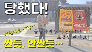 [신혼v-log]대형마트 세일은 싸지만 싸지 않다. 충동구매가 취미인 호갱입니다 ^^