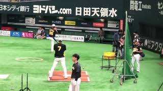 糸井選手のトスバッティング。阪神タイガース試合前練習風景