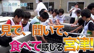 「海の学校」宮津市立栗田小学校 日本財団 海と日本PROJECT in 京都 2019 #16