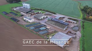 😍Une matinée dans un GAEC de 175 vaches laitière ! GAEC de la Mésange💨