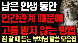 노후에 인간관계에서 고통 안 받고 혼자 잘 지내는 사람들의 특징ㅣ행복한 사람들이 고독에 집착하는 이유 | 부처님 말씀 4시간 | 석가모니 I 처세술 I 명언 I 오디오북 I 철학