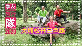 大埔松仔三色路～摯友旅行隊2020