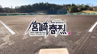 【CAMP】球春到来！2021宮崎春季キャンプPRムービー