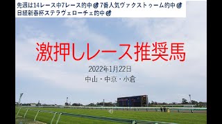 【競馬】2022年1月22日推奨レース＆推奨馬